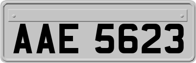 AAE5623