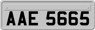 AAE5665