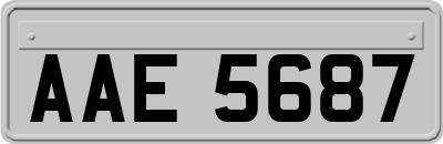 AAE5687