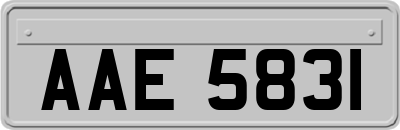 AAE5831