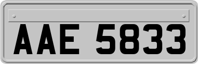 AAE5833