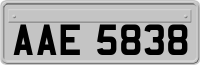 AAE5838