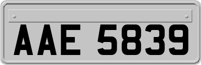 AAE5839