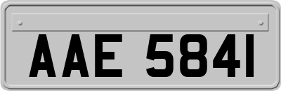 AAE5841