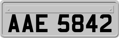 AAE5842