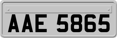 AAE5865