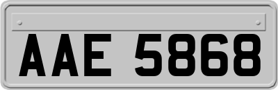 AAE5868