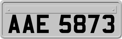 AAE5873