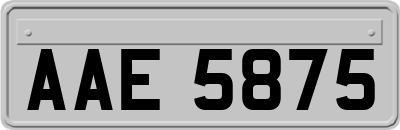 AAE5875