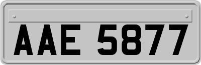 AAE5877