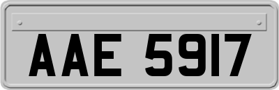 AAE5917