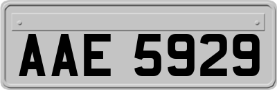 AAE5929