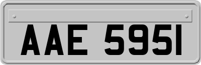 AAE5951