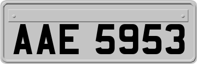 AAE5953