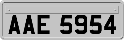 AAE5954