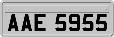 AAE5955