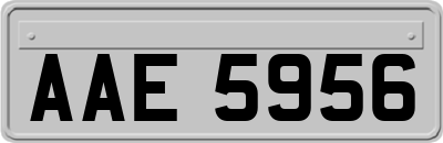 AAE5956