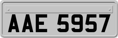 AAE5957