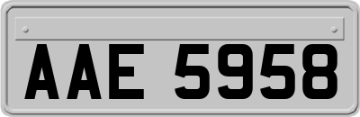 AAE5958