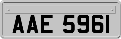 AAE5961