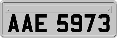 AAE5973