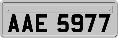 AAE5977