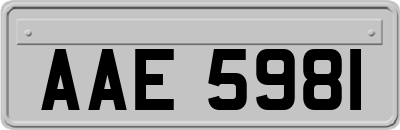 AAE5981