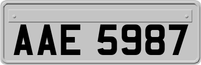 AAE5987