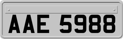 AAE5988