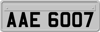 AAE6007