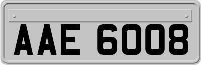 AAE6008