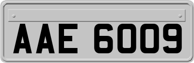 AAE6009