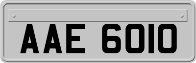 AAE6010