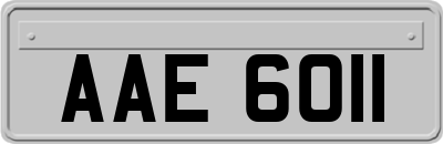 AAE6011