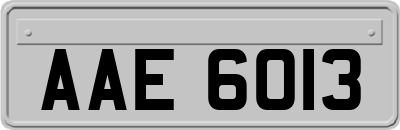 AAE6013