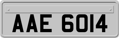 AAE6014