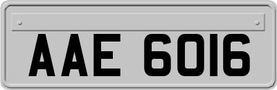 AAE6016