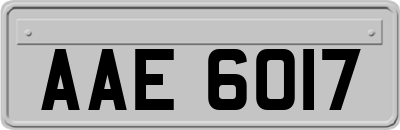 AAE6017