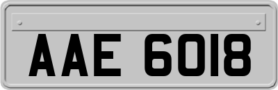 AAE6018