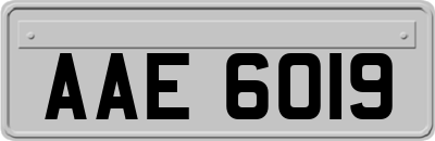 AAE6019