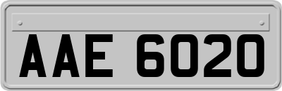 AAE6020