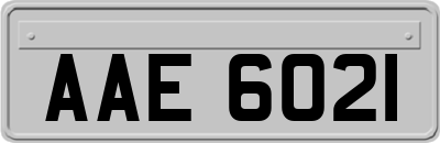 AAE6021