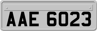 AAE6023