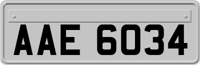 AAE6034