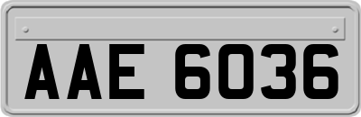 AAE6036