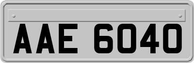 AAE6040