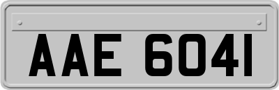 AAE6041