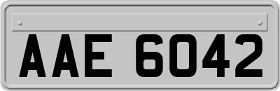 AAE6042