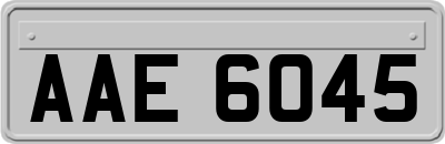 AAE6045