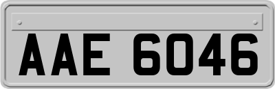 AAE6046